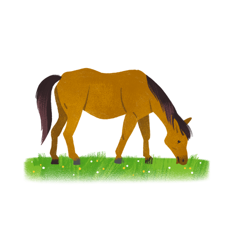 horse