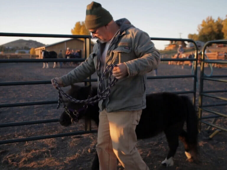 A man leads a miniature horse.