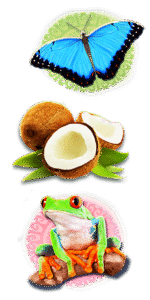 Volcano Island tout overlay