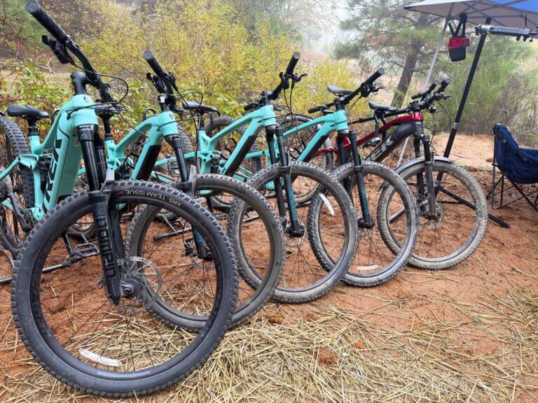 A row of mountain bikes is parked trailside.