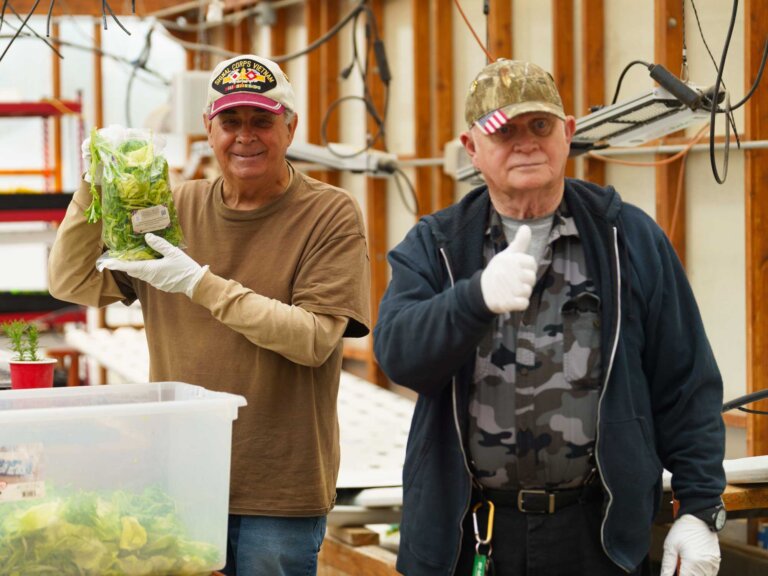Two veteran volunteers pack produce