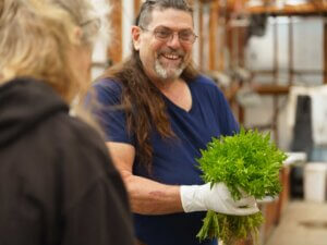 Two veterans gather produce in a greenhouse